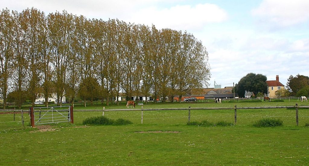 Gardening Services in Little Wakering, Essex